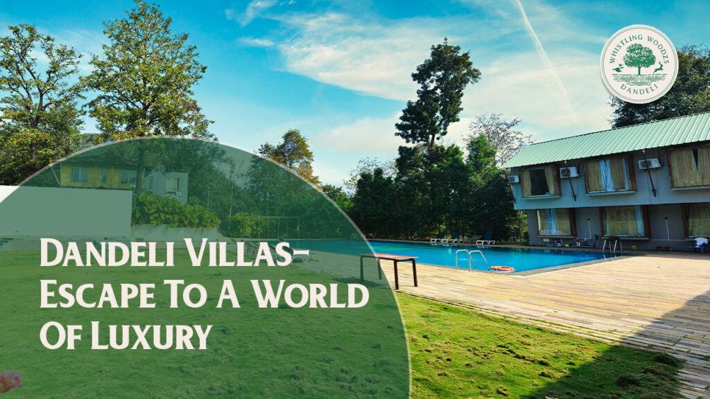 Dandeli Villas- escape to a world of luxury