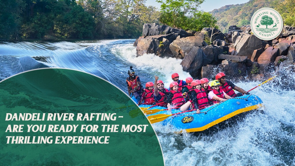 Dandeli River Rafting-Are you ready for the most thrilling experience