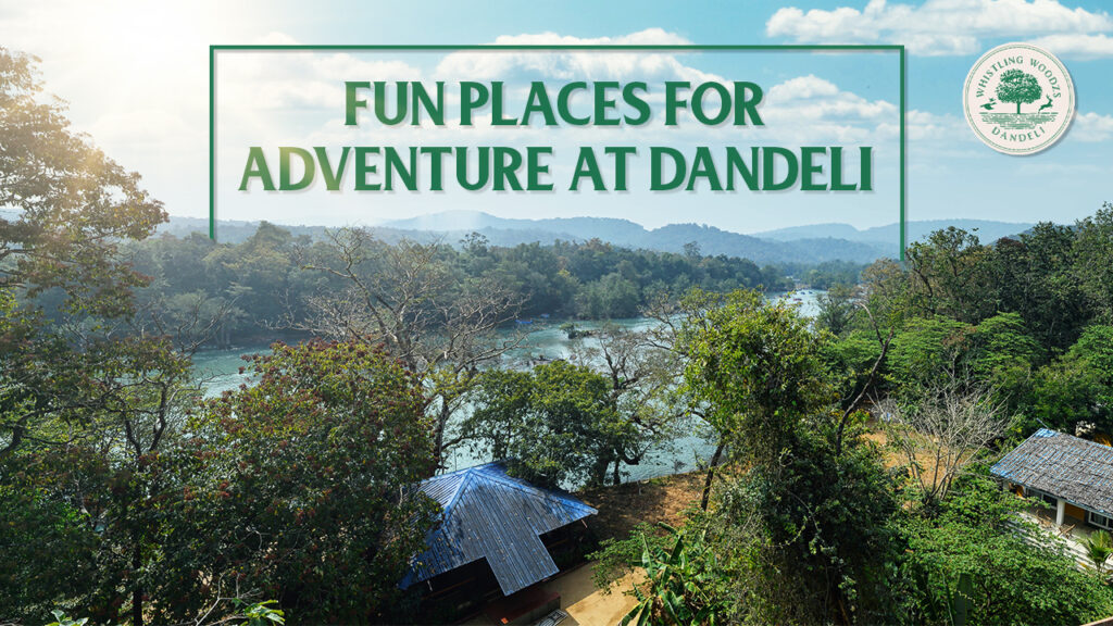 Fun places for adventure at Dandeli