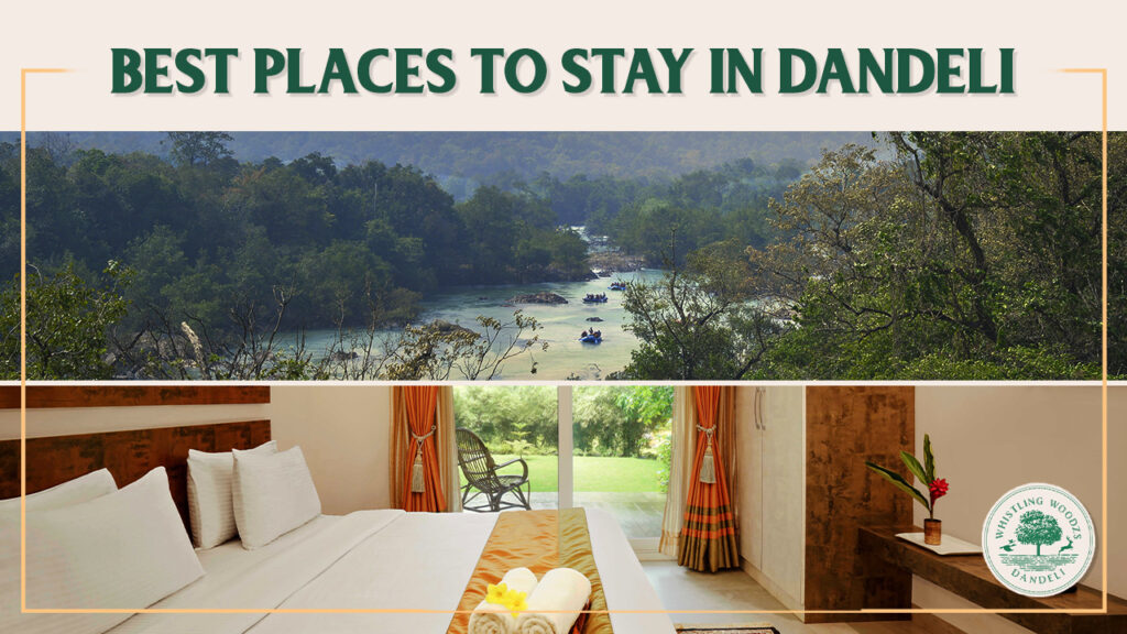 Best places to stay in Dandeli