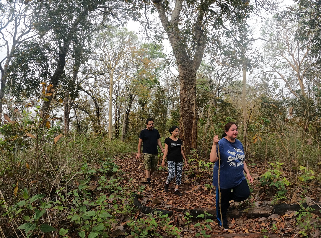Jungle trekking places in Dandeli